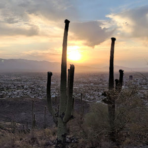 Meet your Posher, Adrian